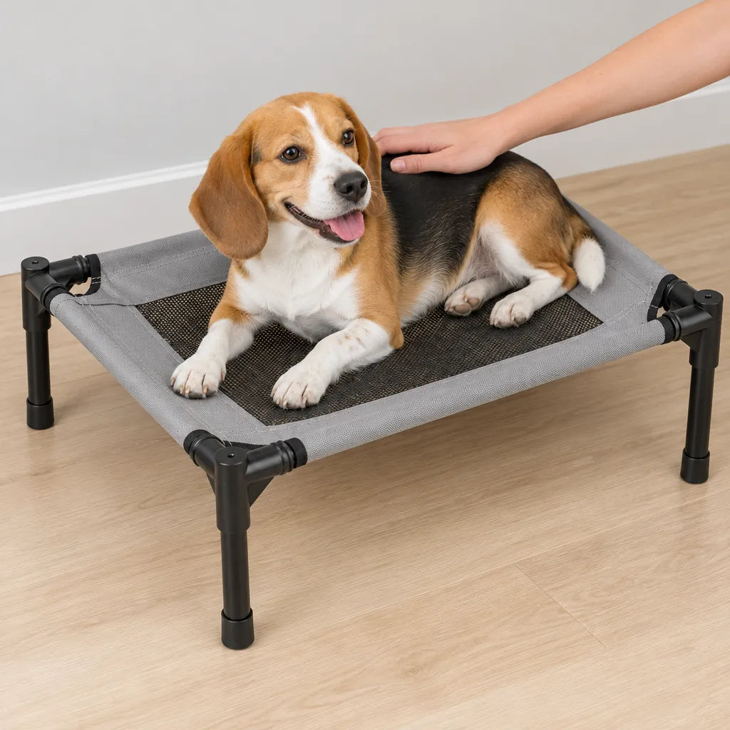 Beagle lying on a grey elevated dog bed with a black mesh center