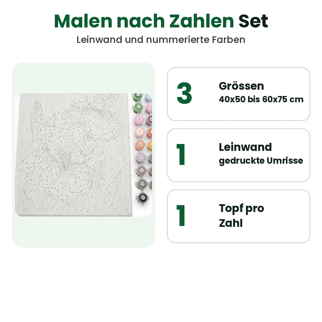 Malen nach Zahlen Set für Erwachsene: drei Grössen, eine nummerierte Leinwand mit Farbtöpfen
