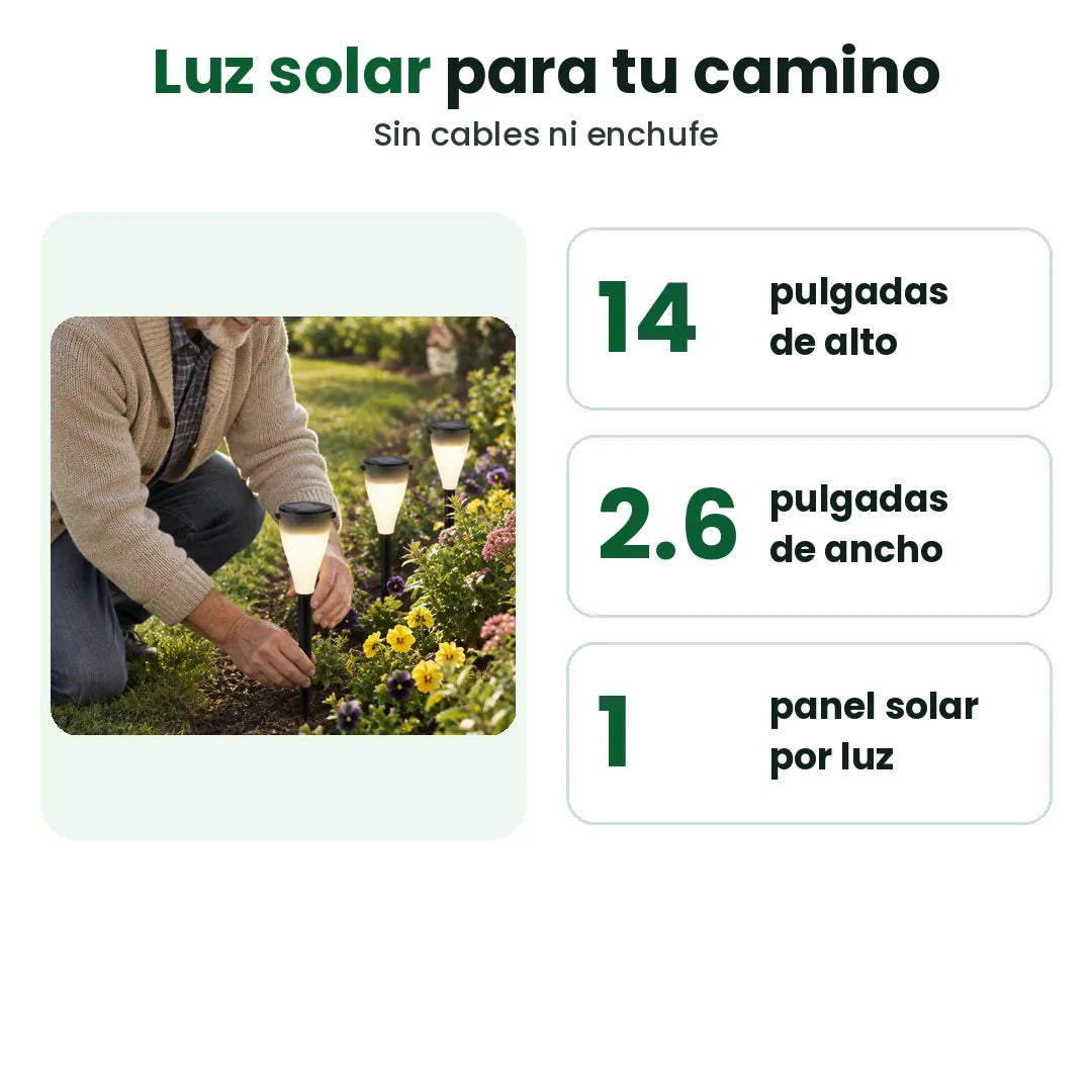 Tamaño y características de la luz solar para camino: 14 pulgadas de alto