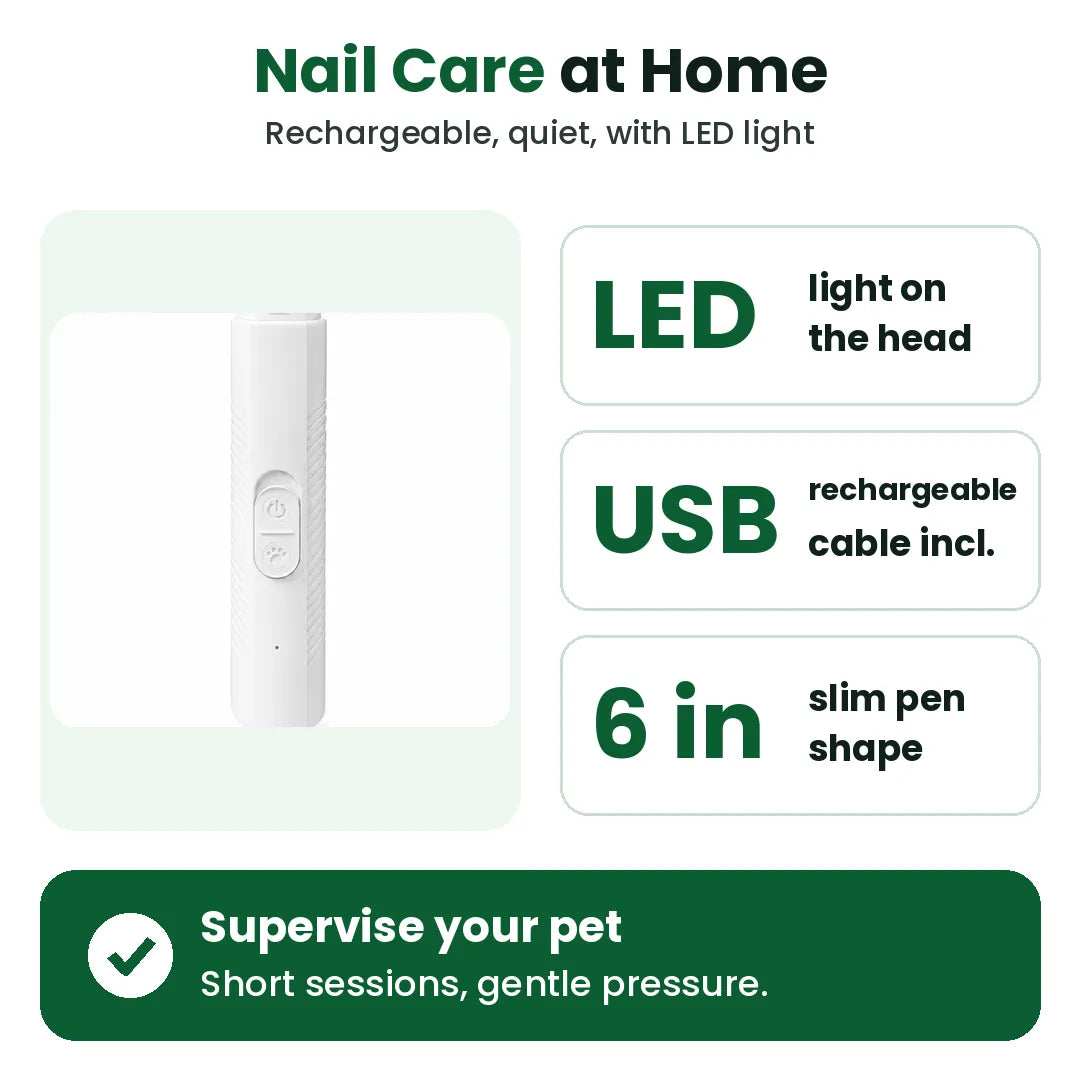Nail care at home with a rechargeable dog nail grinder