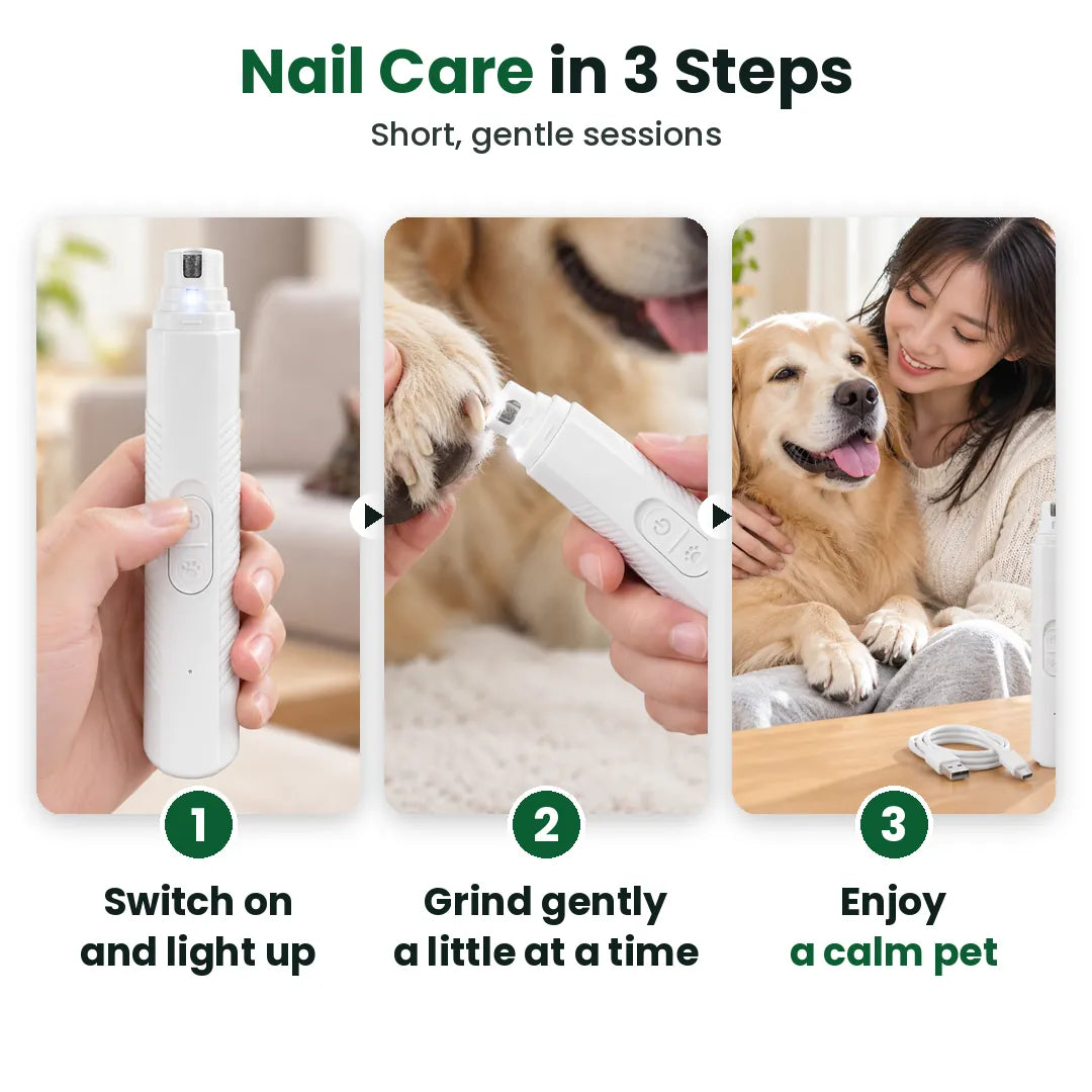 Three steps to trim a dog's nails with an electric grinder