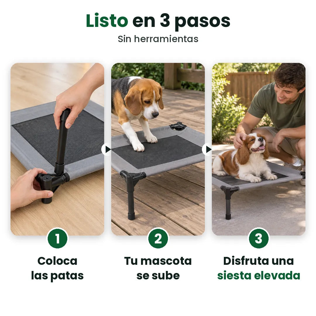 Tres pasos para armar la cama elevada para perro: patas, se sube, descansa