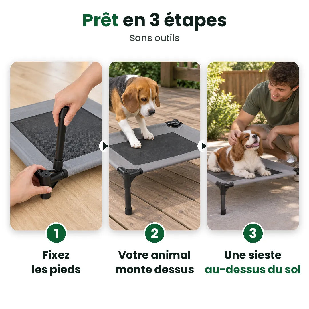 Trois étapes pour monter le lit surélevé pour chien : pattes, on monte, repos