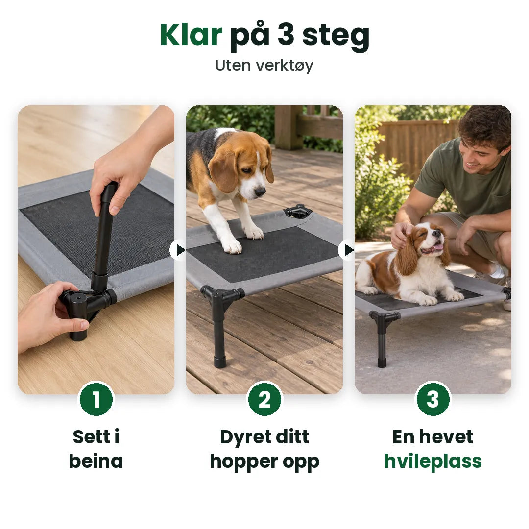 Tre steg for å sette sammen den hevede hundesengen: bein, opp på, hvile