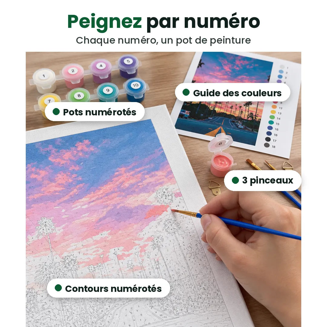 Peinture par numéro : pots numérotés, 3 pinceaux, guide des couleurs et contours numérotés