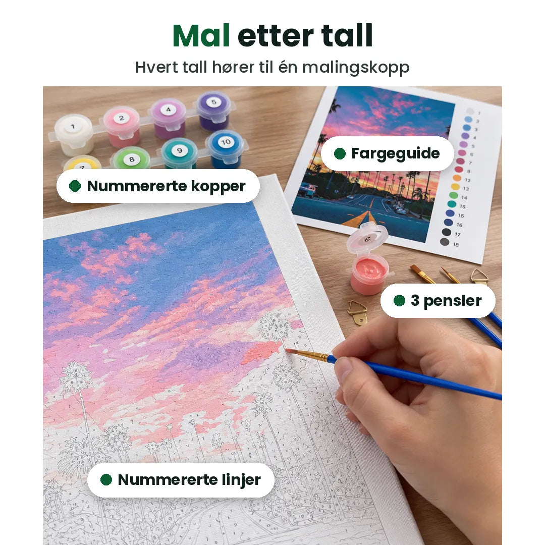 Maling etter tall forklart: nummererte kopper, 3 pensler, fargeguide og linjer