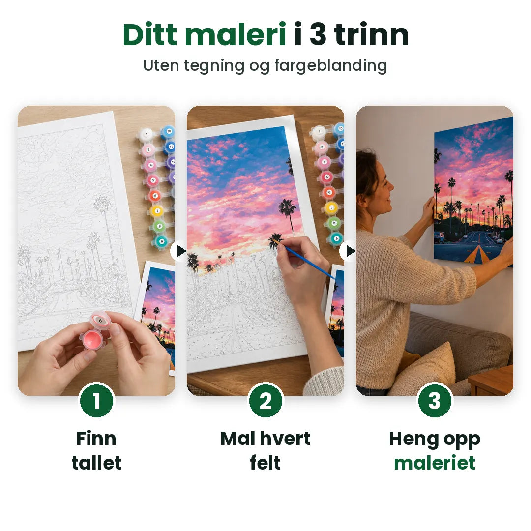 Male etter nummer i tre trinn: finn tallet, mal hvert felt, heng opp maleriet