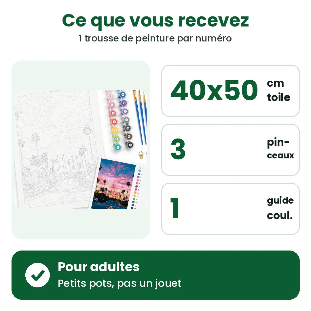 Contenu de la peinture par numéro : toile 40 x 50 cm, 3 pinceaux et guide des couleurs