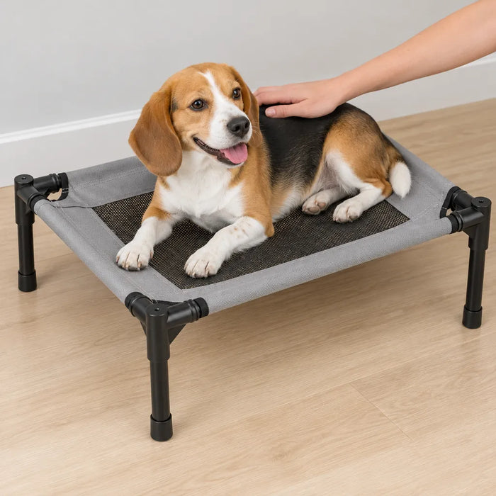 Beagle lying on a grey elevated dog bed with a black mesh center