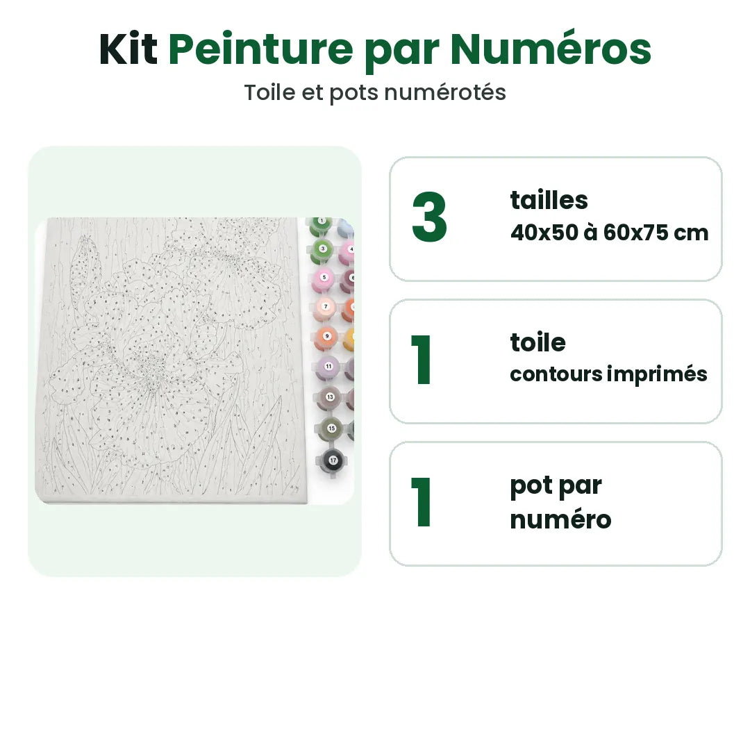 Kit de peinture par numéros adulte : trois tailles, une toile numérotée et des pots de peinture numérotés