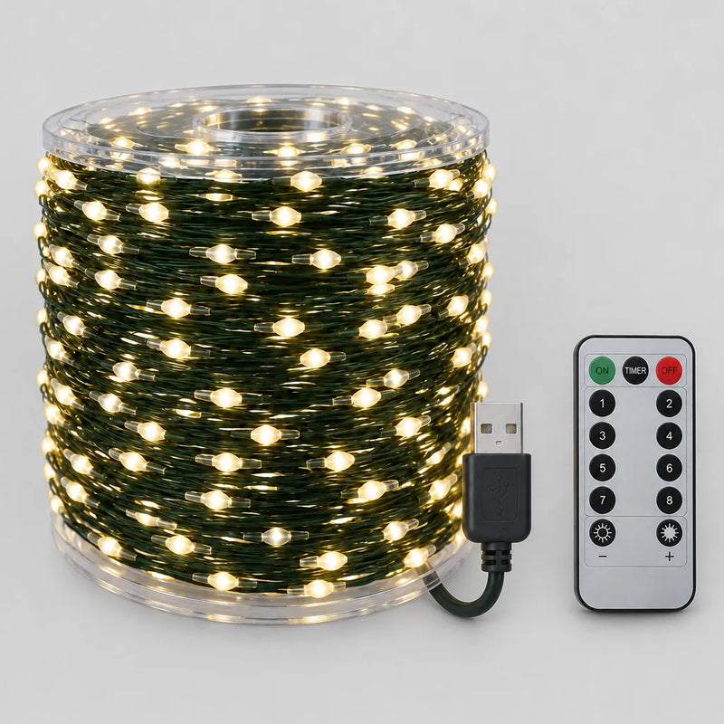 Guirlande LED à fil de cuivre sur bobine avec une fiche USB et une télécommande