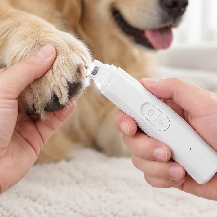 Limando la uña de un perro con un cortaúñas eléctrico