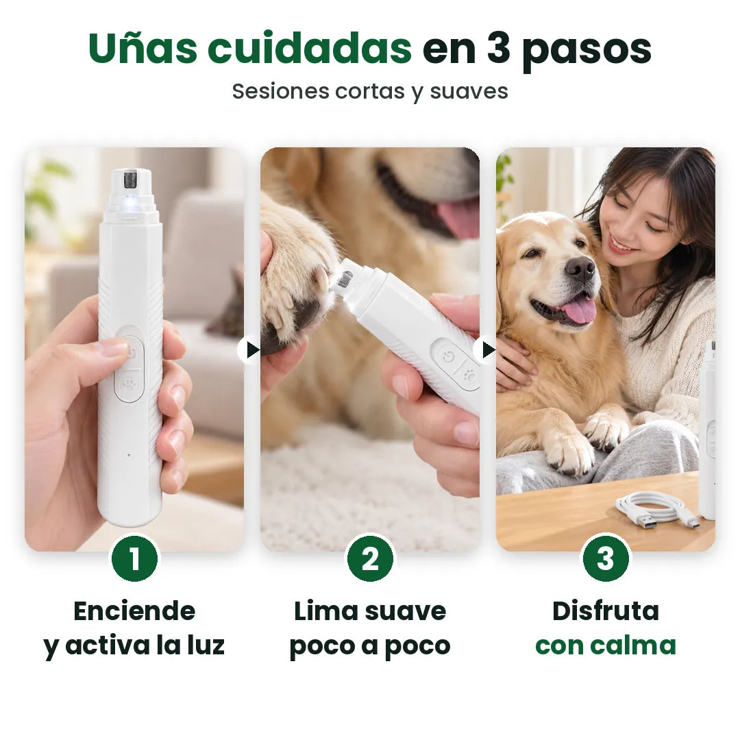 Tres pasos para cortar las uñas de un perro con un cortaúñas eléctrico