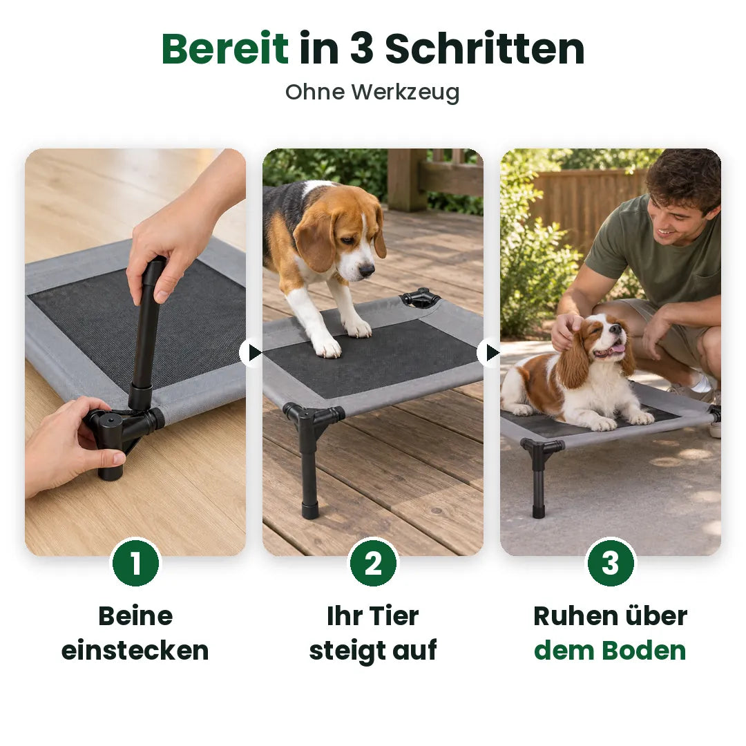 Drei Schritte zum erhöhten Hundebett: Beine einstecken, aufsteigen, ruhen