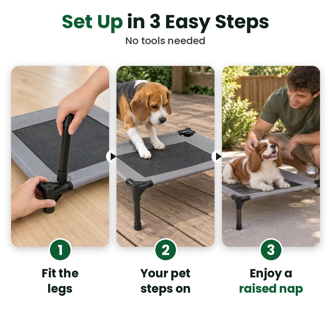 Three steps to set up the elevated dog bed: fit the legs, pet steps on, rest