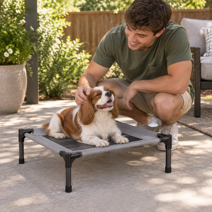 Man petting his spaniel lying on a raised dog cot on the patio