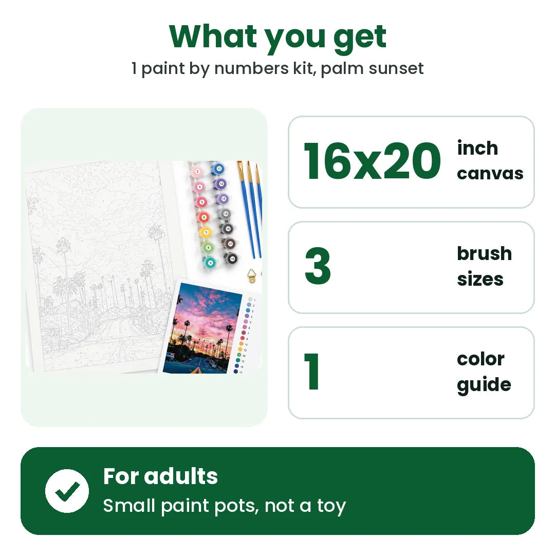 What you get in the paint by number kit: 16x20 in canvas, 3 brush sizes and a color guide