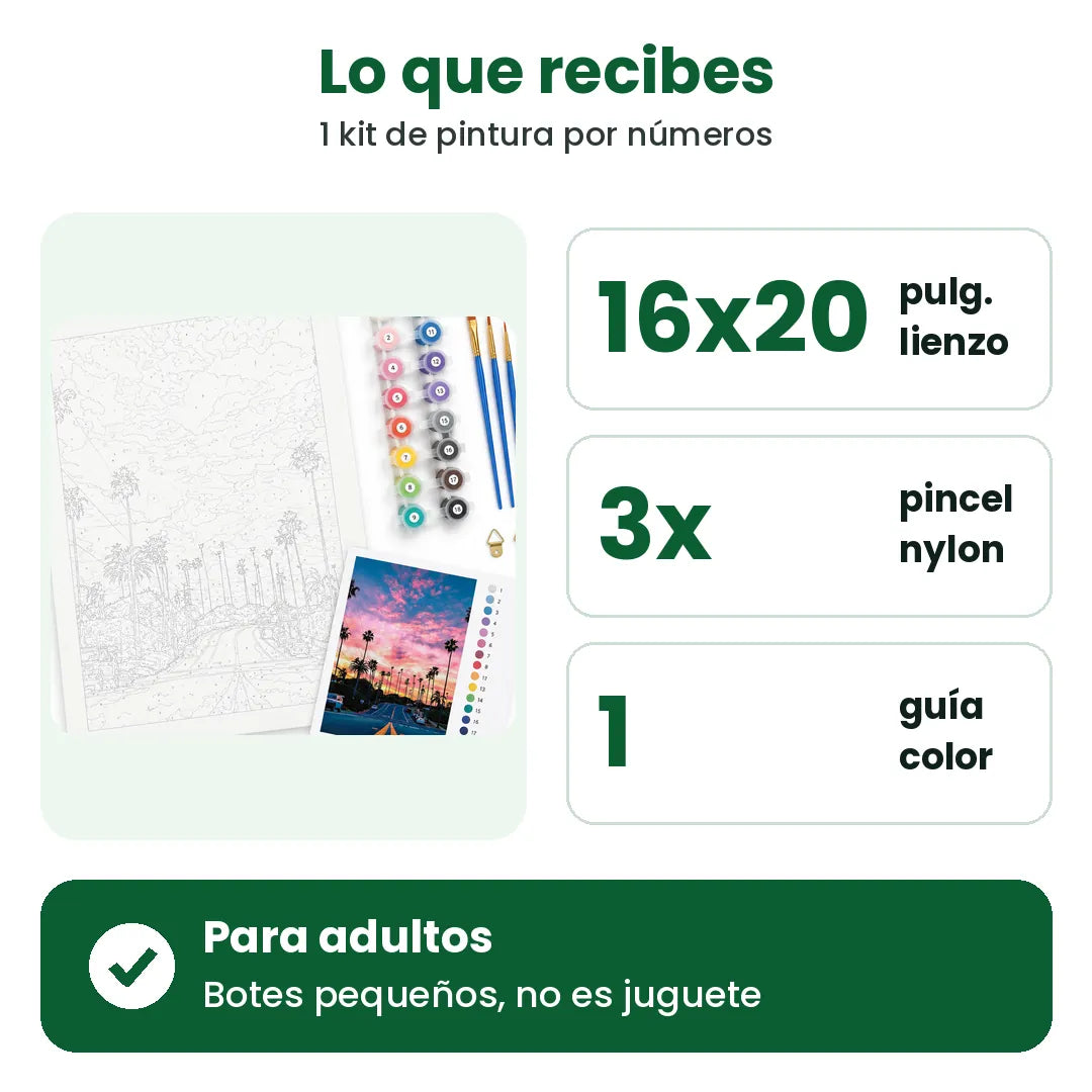 Lo que recibes en el kit de pintura por números: lienzo de 16x20 in, 3 pinceles y guía