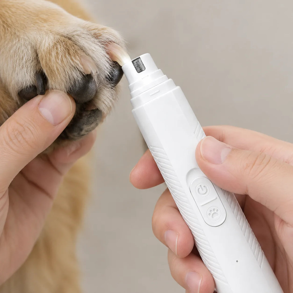 Hand holding a white electric dog nail grinder against a golden retriever's paw