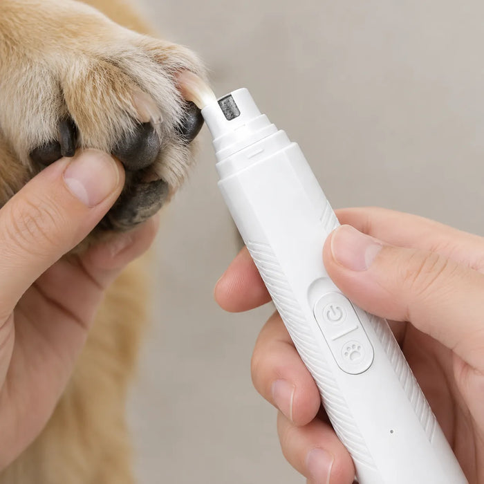 Mano con un cortaúñas eléctrico blanco para perros sobre la pata de un perro